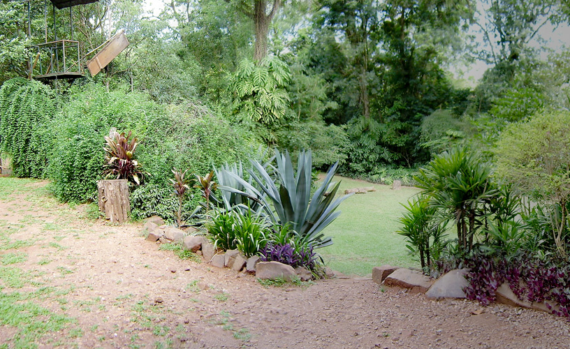 Rodeados del hábitat natural