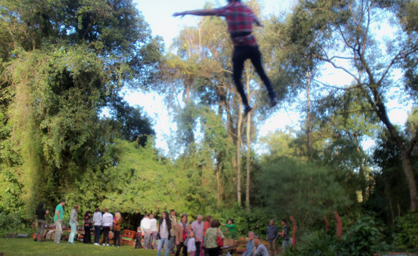 Un intrépido “vuelo” entre los árboles