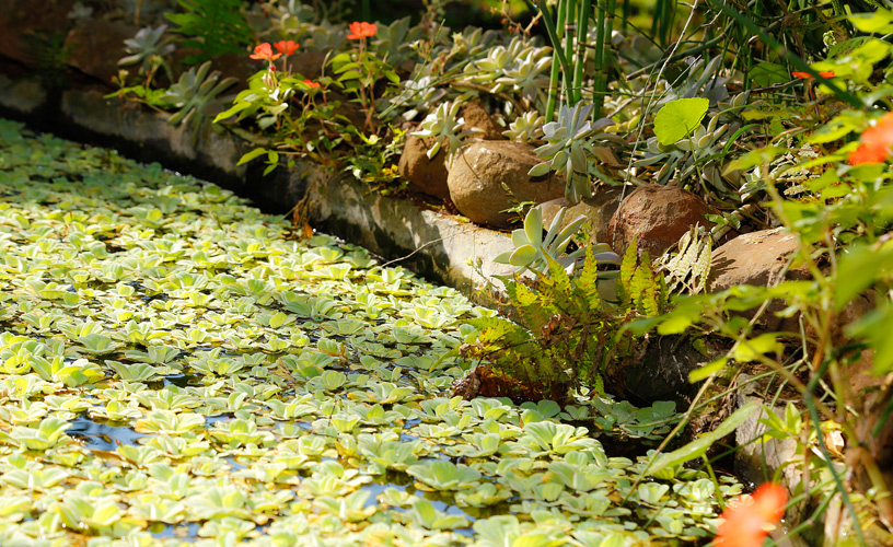 Privilegia el contacto con la naturaleza