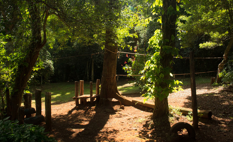 El aire puro de sus senderos