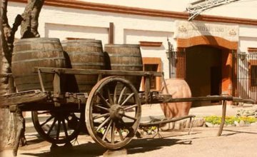 Museo del Vino – Bodega La Rural
