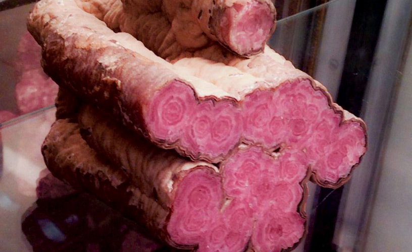 Rocks coming from different parts of the country and from abroad