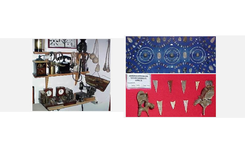 Archeological and paleontological items 