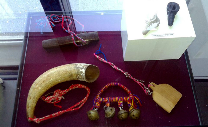 Elements belonging to the Mapuche communities