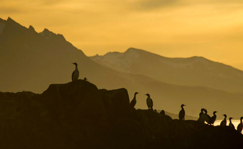 La isla de los Pájaros