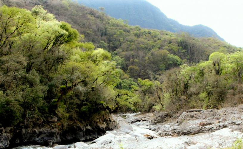 Río Lipeo