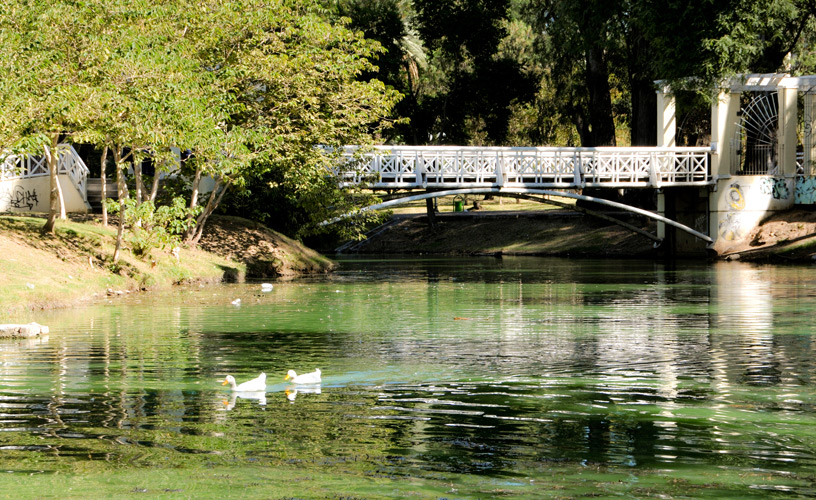 Lago artificial con importante puente