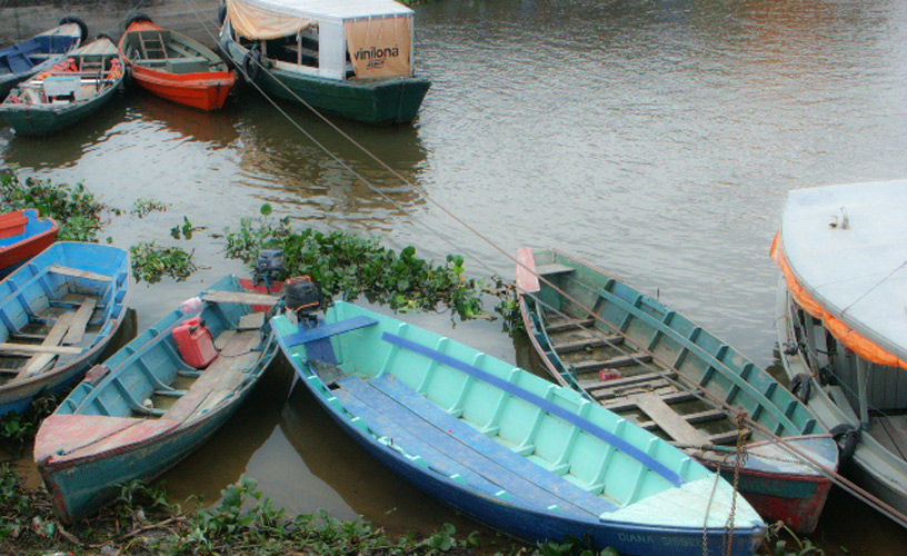 El río y sus botes