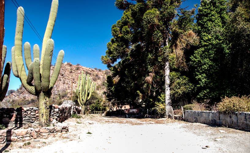 The land of the sun and the wine