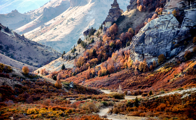 En otoño estallan de rojos, amarillos y ocres