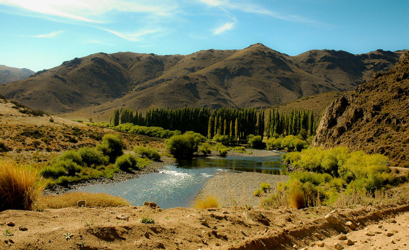 A privileged setting