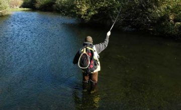 Pesca con mosca en Sierra
