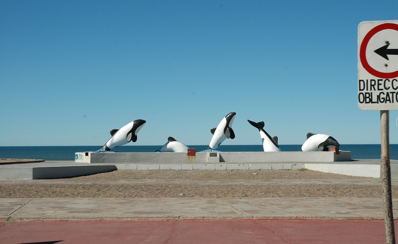 Monument to dolphins