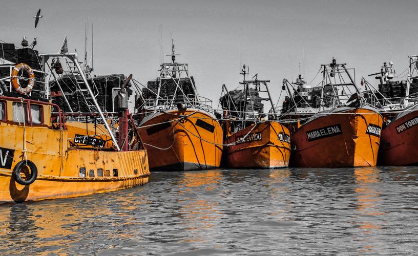 La viva estampa del tradicional puerto de Rawson