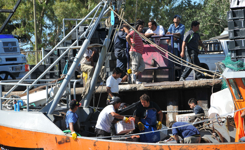 Descargando los frutos del mar