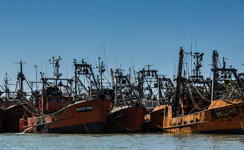Cofradía de los pescadores