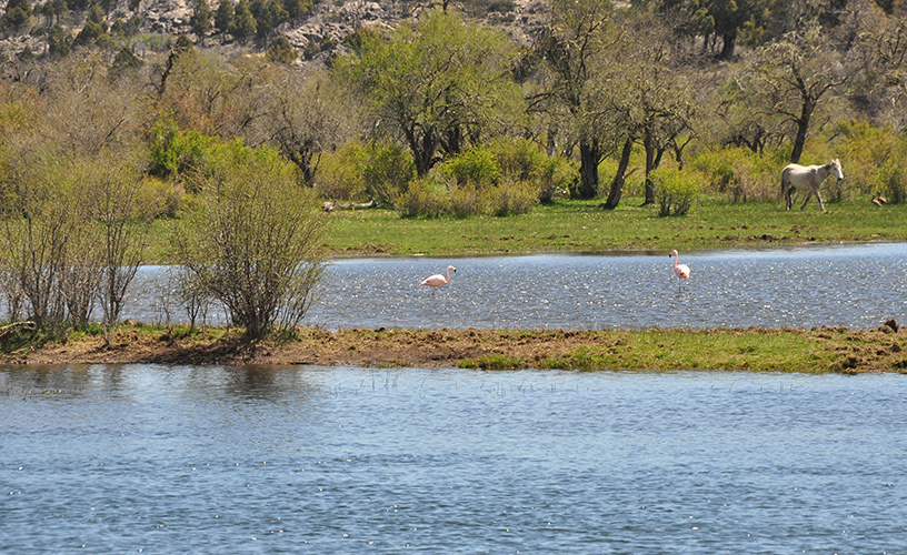 La laguna de los Giles