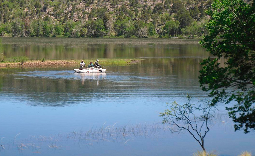 Pescando en Los Giles