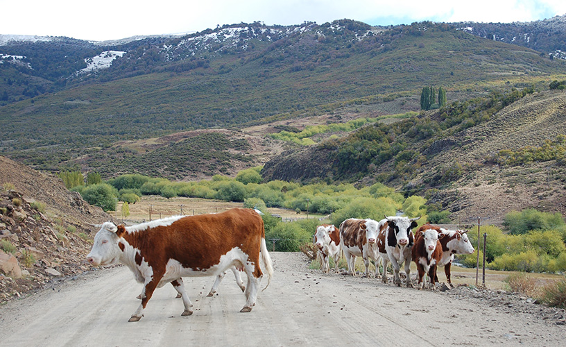 Los caminos de tierra