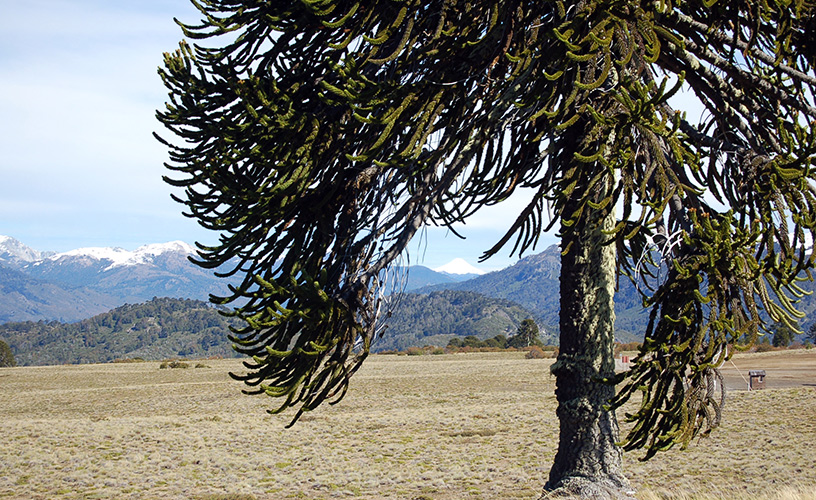 La extensa Patagonia argentina