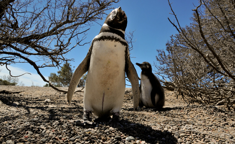 Un acontecimiento natural y único