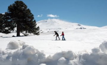Esquí para principiantes en Primeros Pinos
