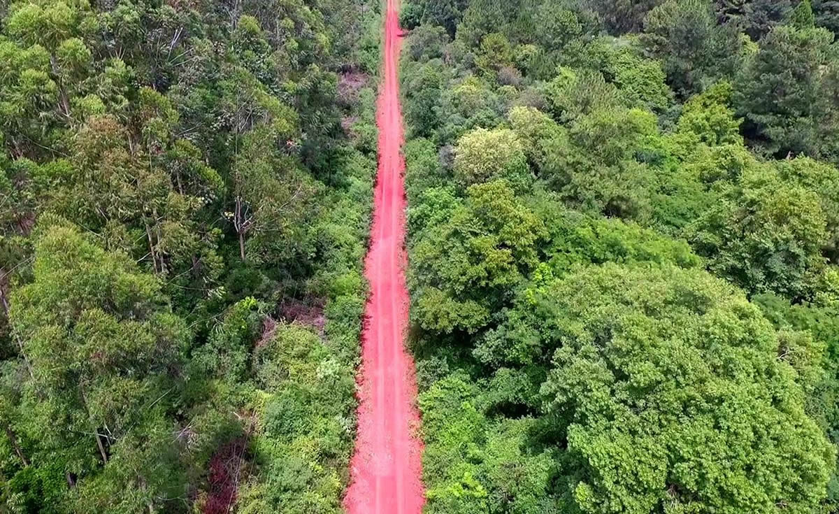 Paths of Iguazu