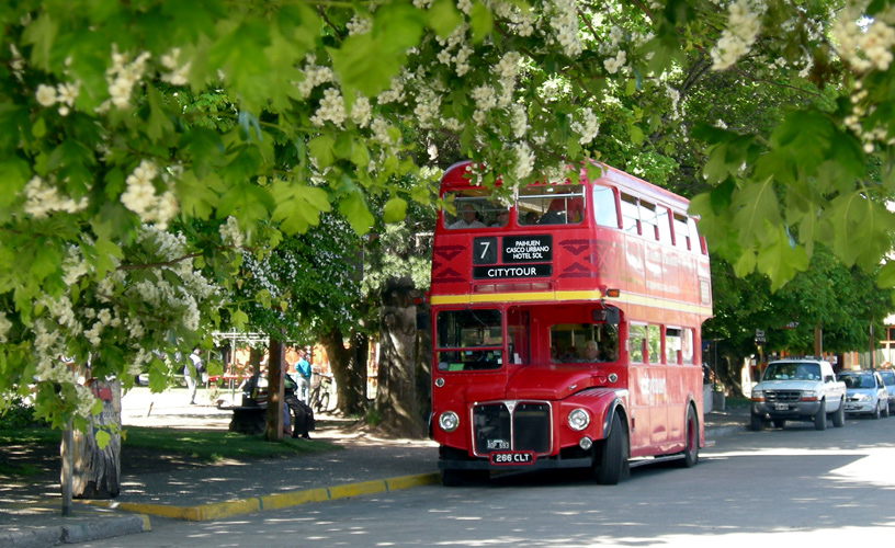 Una verdadera pieza de colección