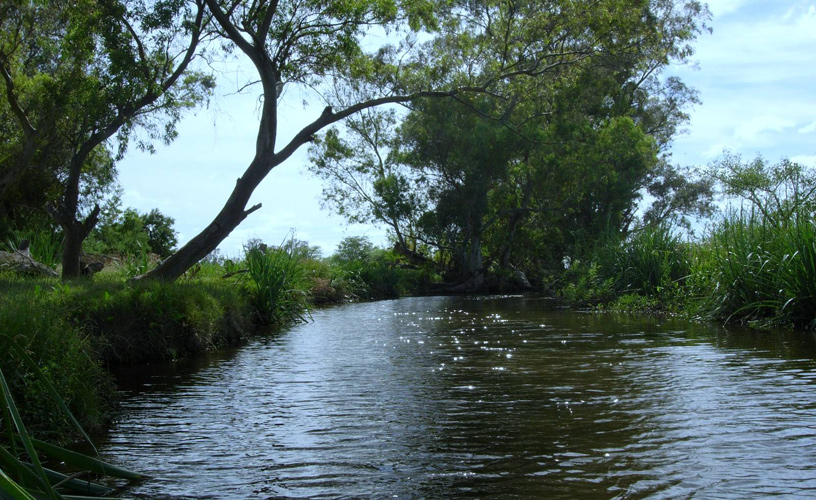 Bajos asociados al delta del Paraná
