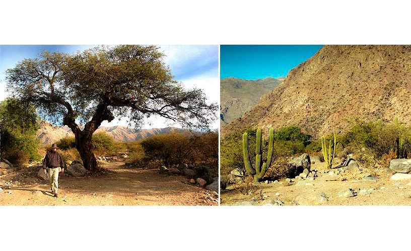 Seven kilometers away from Cafayate to the Southeast