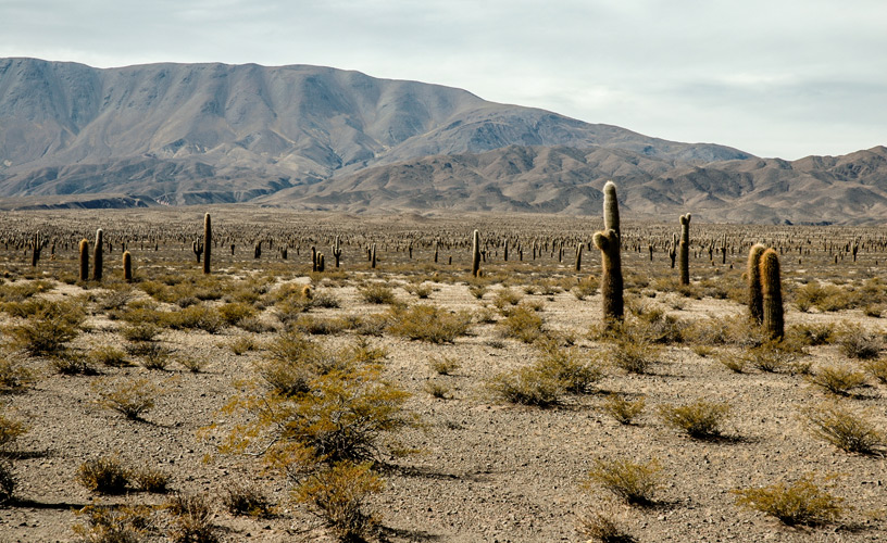 Los Valles Calchaquíes