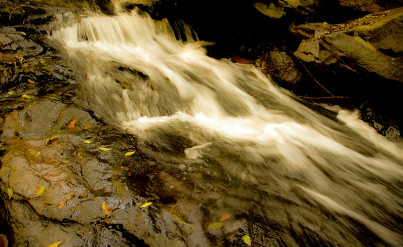Pequeños ríos y arroyos
