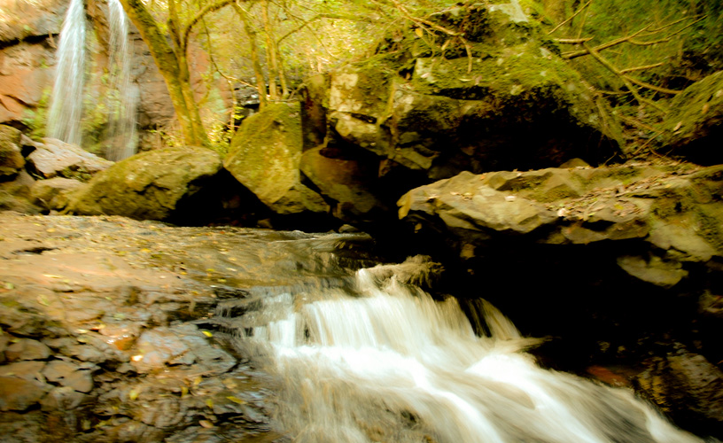 Todos tienen encanto