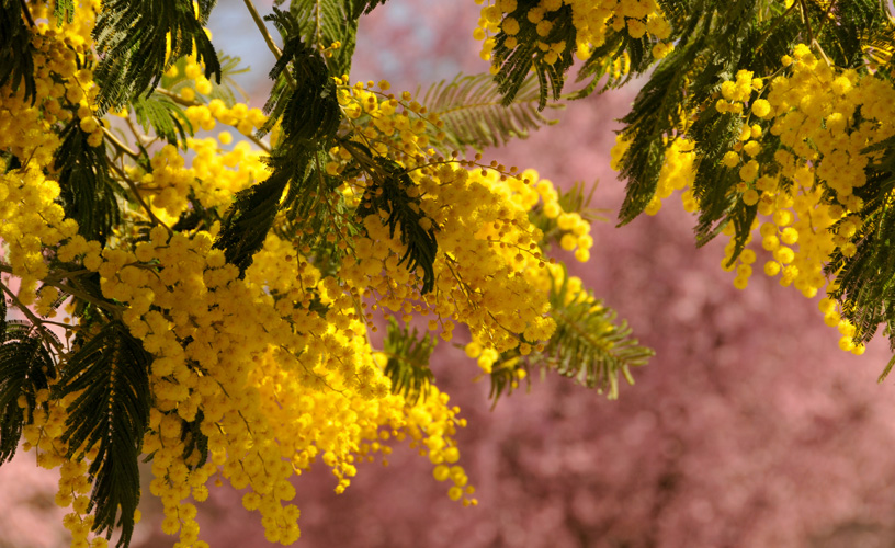 Los colores hablan de la estación