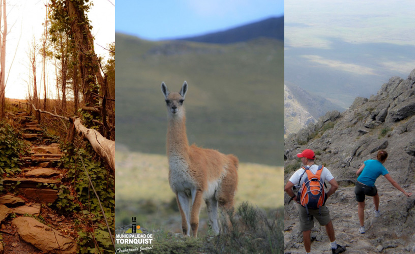 Flora and Fauna in the Heights