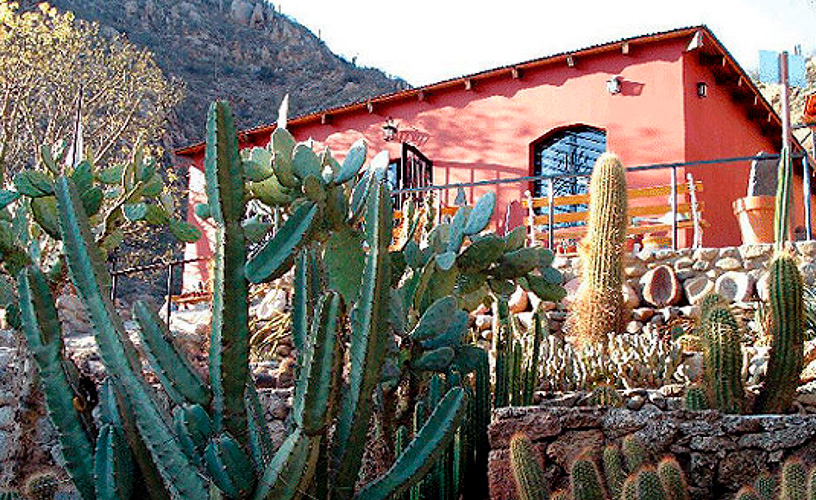 Cactus museum