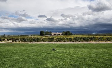 Valle de Uco, tierra de vinos