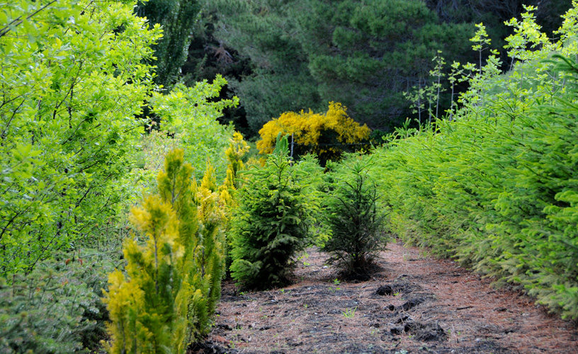 Un espacio en constante cambio
