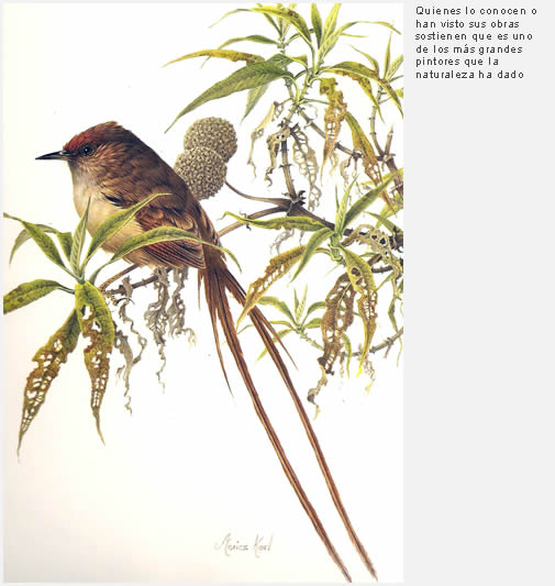 Iv�n Moricz Karl, pintor