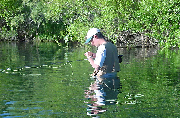 Imagenes de pesca, Pesca deportiva en Argentina