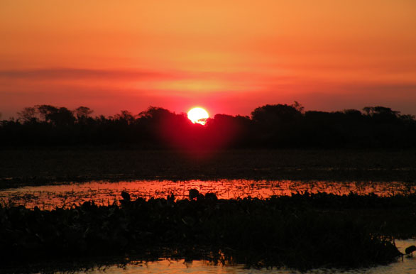 Imagenes de pesca, Pesca deportiva en Argentina