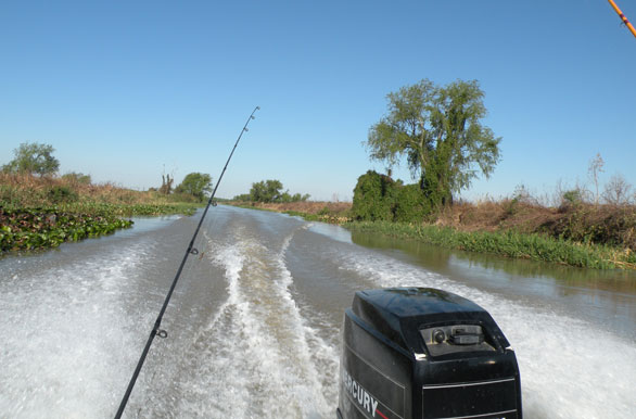 Imagenes de pesca, Pesca deportiva en Argentina
