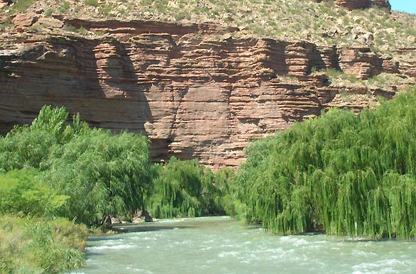 Imagenes de pesca, Pesca deportiva en Argentina