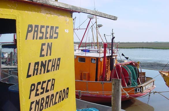 Imagenes de pesca, Pesca deportiva en Argentina