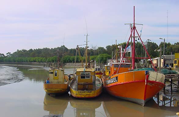 Imagenes de pesca, Pesca deportiva en Argentina