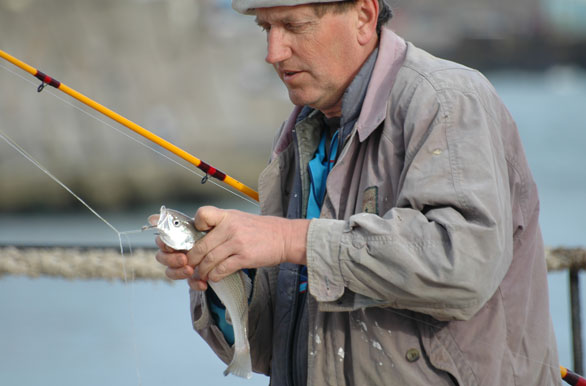 Imagenes de pesca, Pesca deportiva en Argentina