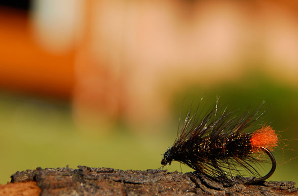 Imagenes de pesca, Pesca deportiva en Argentina