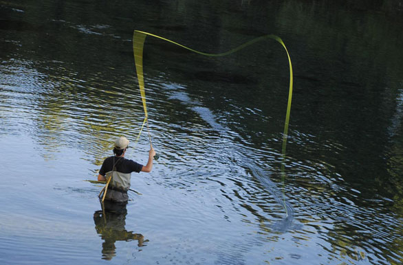 Imagenes de pesca, Pesca deportiva en Argentina