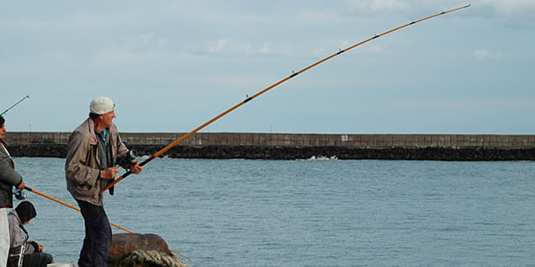 Mar del Plata - Fishing all round the Year