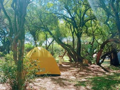 Campings Agreste